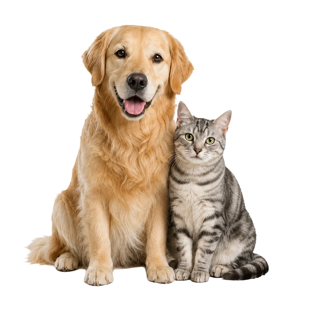 Propriétaire souriante tenant la Lime OMINA M5 près de son chien
